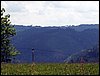 100607_PICT0033.JPG