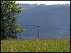 100607_PICT0034.JPG