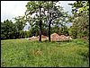 100607_PICT0039.JPG