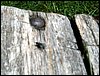 100607_PICT0040.JPG