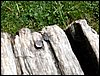 100607_PICT0041.JPG