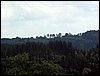 100607_PICT0042.JPG