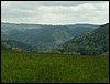 100607_PICT0047.JPG