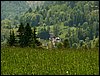 100607_PICT0050.JPG