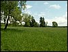 100607_PICT0051.JPG