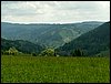 100607_PICT0052.JPG