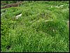 100607_PICT0057.JPG