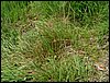 100607_PICT0058.JPG