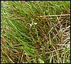 100607_PICT0059.JPG