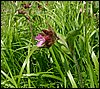100607_PICT0060.JPG