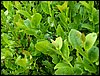 100607_PICT0062.JPG