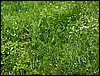 100607_PICT0063.JPG