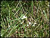100607_PICT0064.JPG