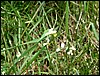 100607_PICT0065.JPG