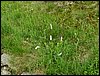 100607_PICT0067.JPG