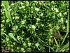100607_PICT0069.JPG