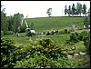 100607_PICT0079.JPG