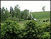 100607_PICT0080.JPG