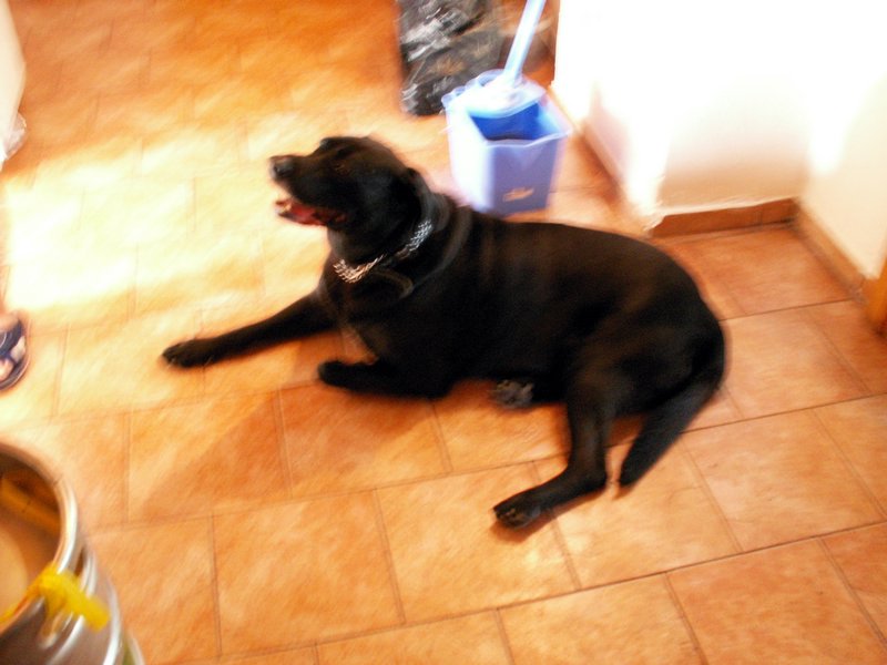 100608_PICT0032.JPG