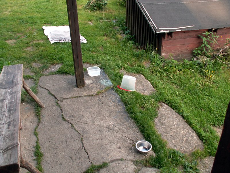100608_PICT0036.JPG