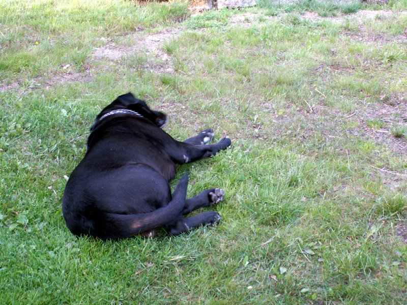 100608_PICT0039.JPG