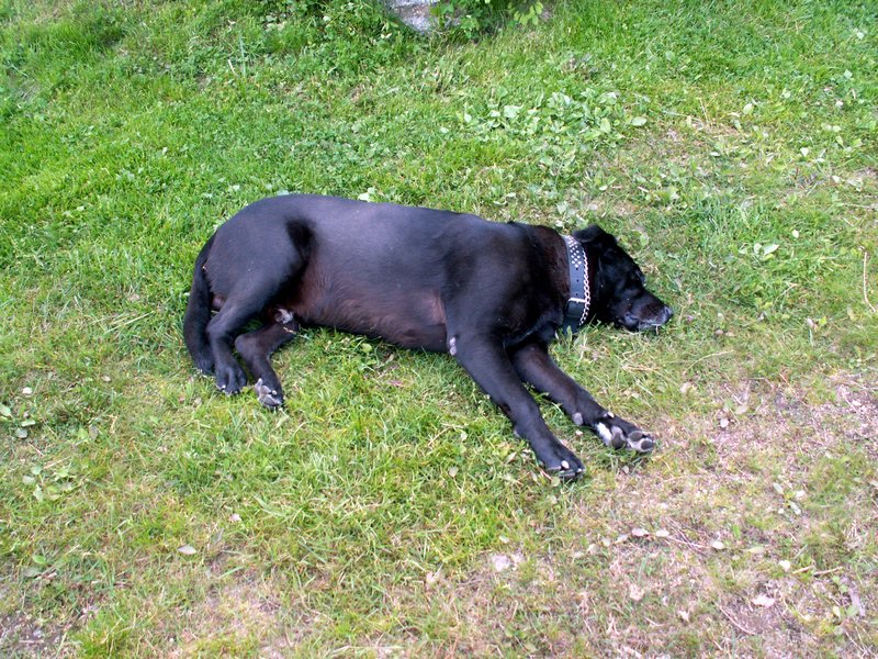 100608_PICT0041.JPG