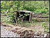 100608_PICT0010.JPG