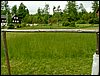 100608_PICT0015.JPG