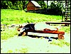 100608_PICT0024.JPG
