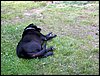100608_PICT0039.JPG