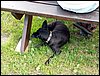 100608_PICT0040.JPG