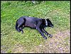 100608_PICT0041.JPG