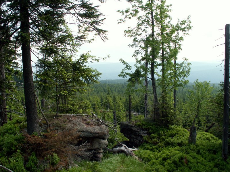 100609_PICT0010.JPG