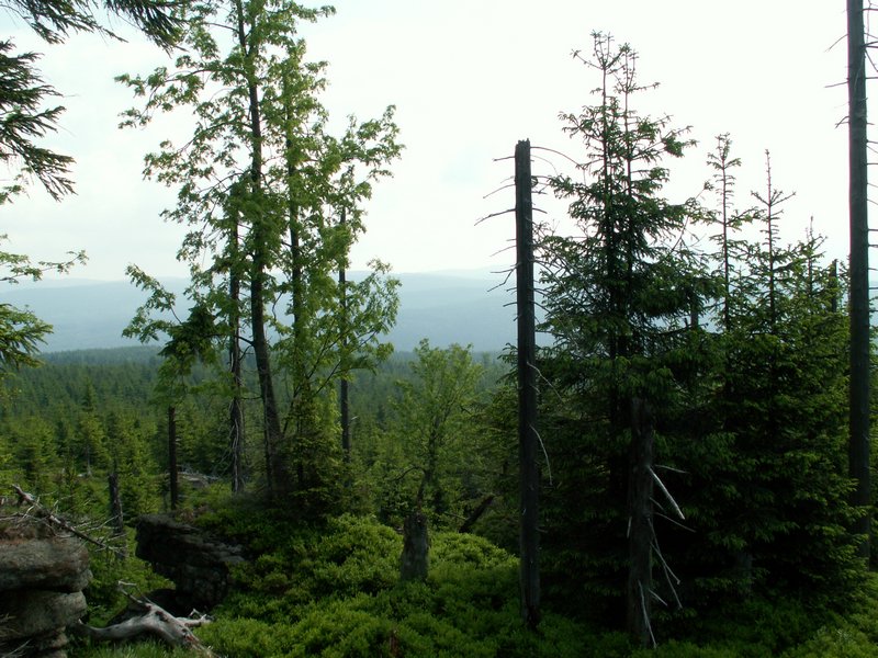 100609_PICT0011.JPG