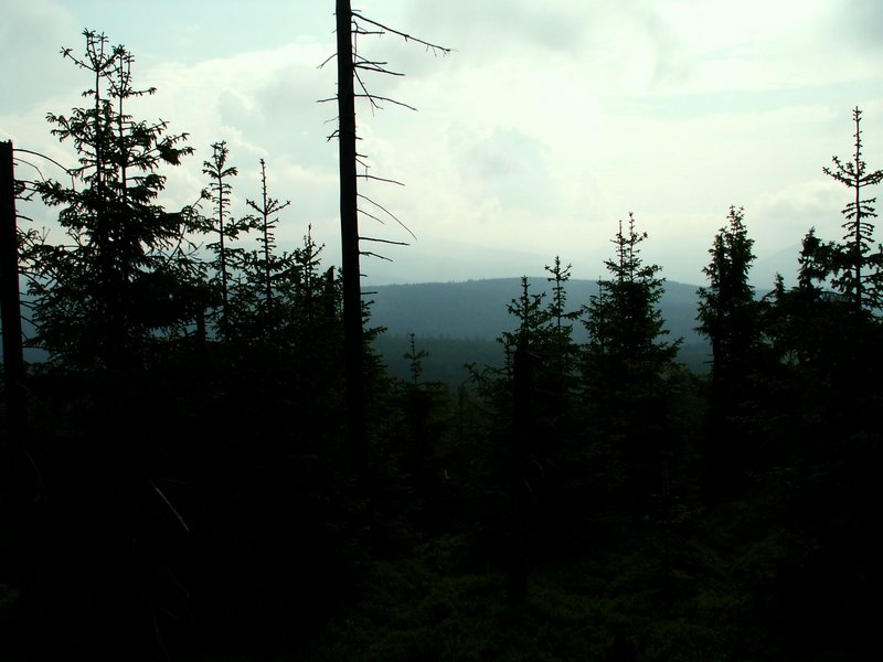 100609_PICT0012.JPG
