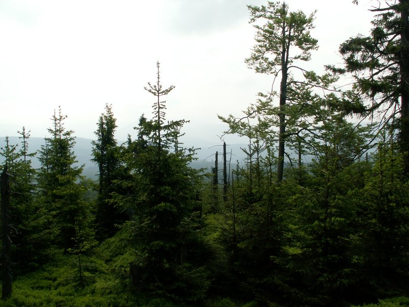 100609_PICT0013.JPG