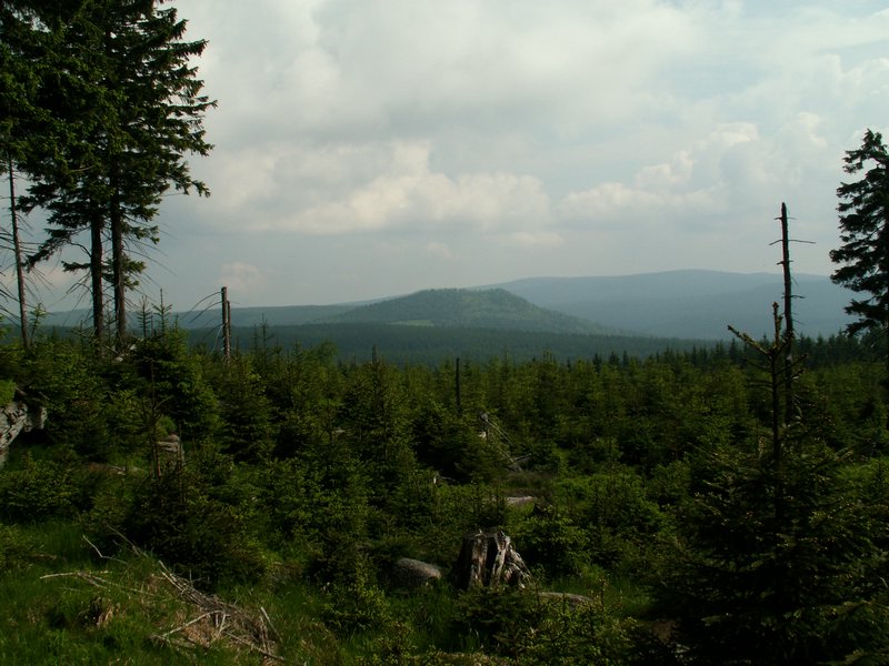 100609_PICT0016.JPG