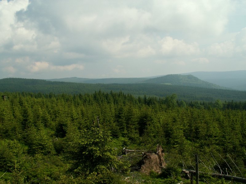 100609_PICT0020.JPG
