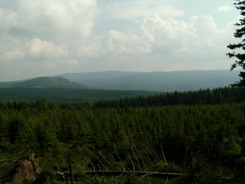 100609_PICT0021.JPG