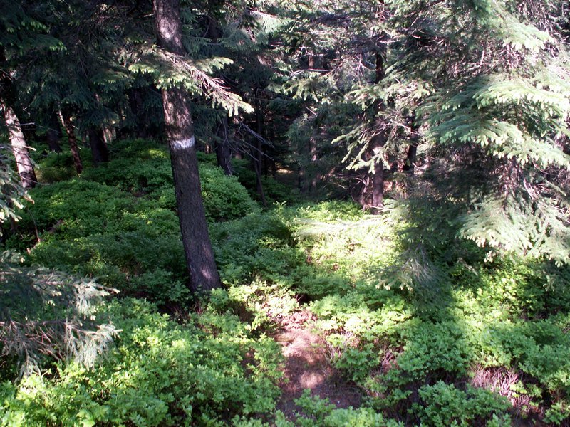 100609_PICT0025.JPG