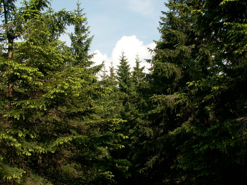 100609_PICT0026.JPG