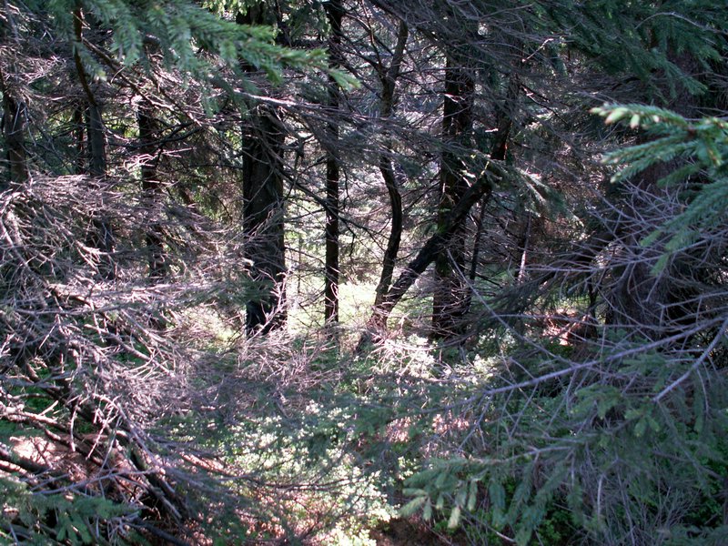 100609_PICT0027.JPG