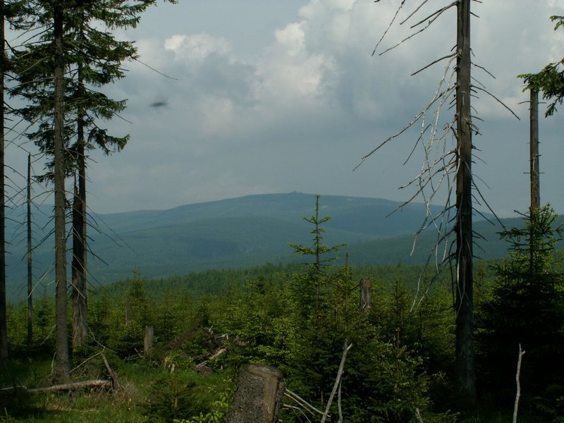 100609_PICT0029.JPG