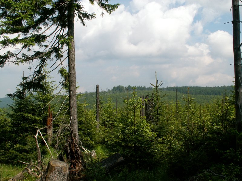 100609_PICT0030.JPG