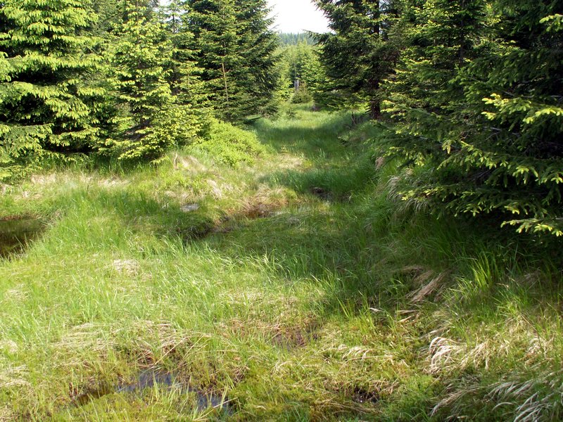 100609_PICT0032.JPG