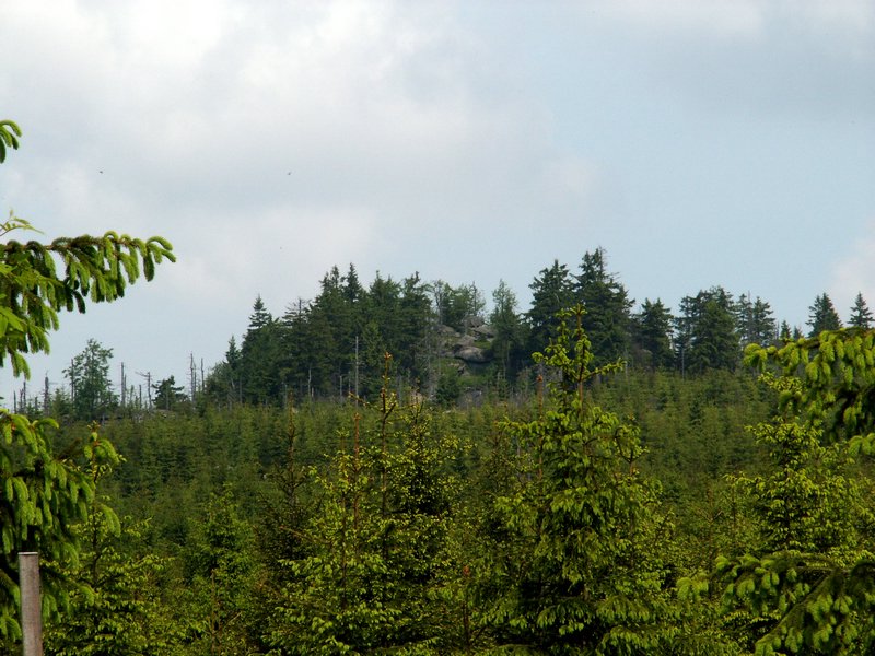 100609_PICT0033.JPG