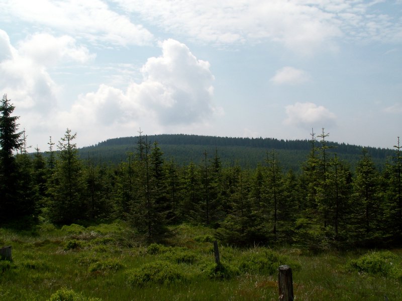 100609_PICT0034.JPG