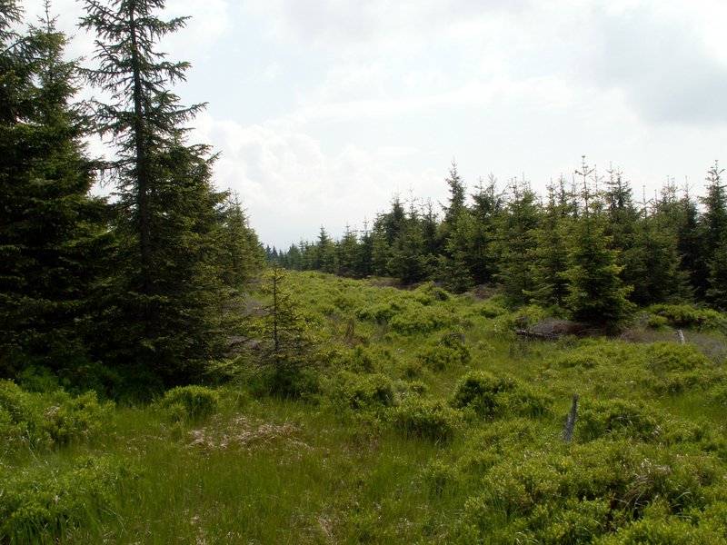 100609_PICT0035.JPG