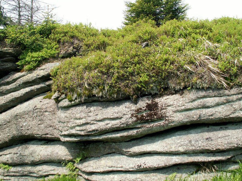 100609_PICT0036.JPG