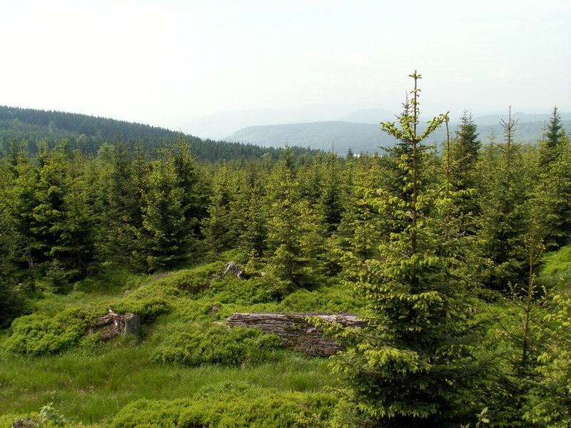 100609_PICT0037.JPG